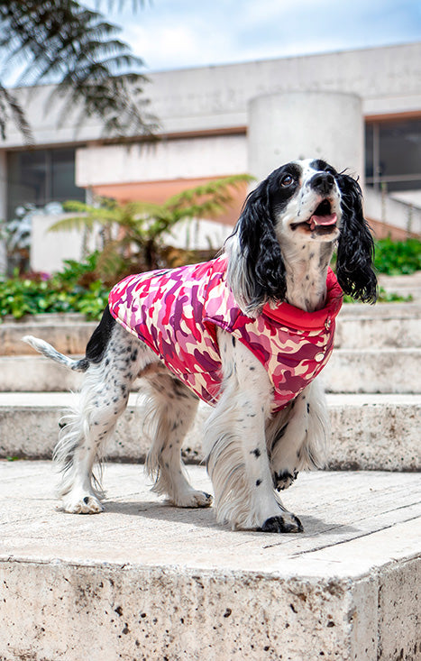 Chaleco Mascota Camuflado Rosado