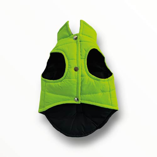 Chaleco Unicolor Mascota Verde Neon