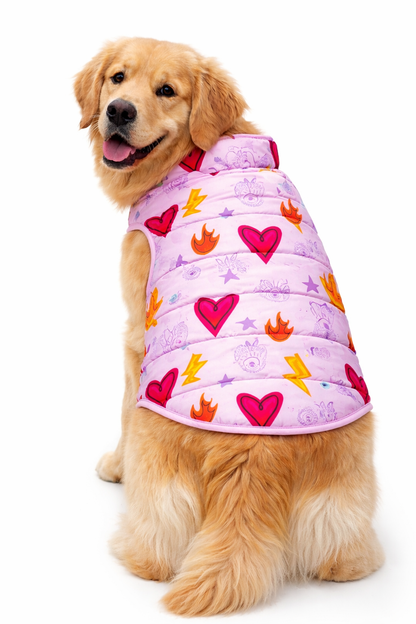 Chaleco Mascota Amor