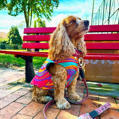 Chaleco Mascota Psychedelic Tropical