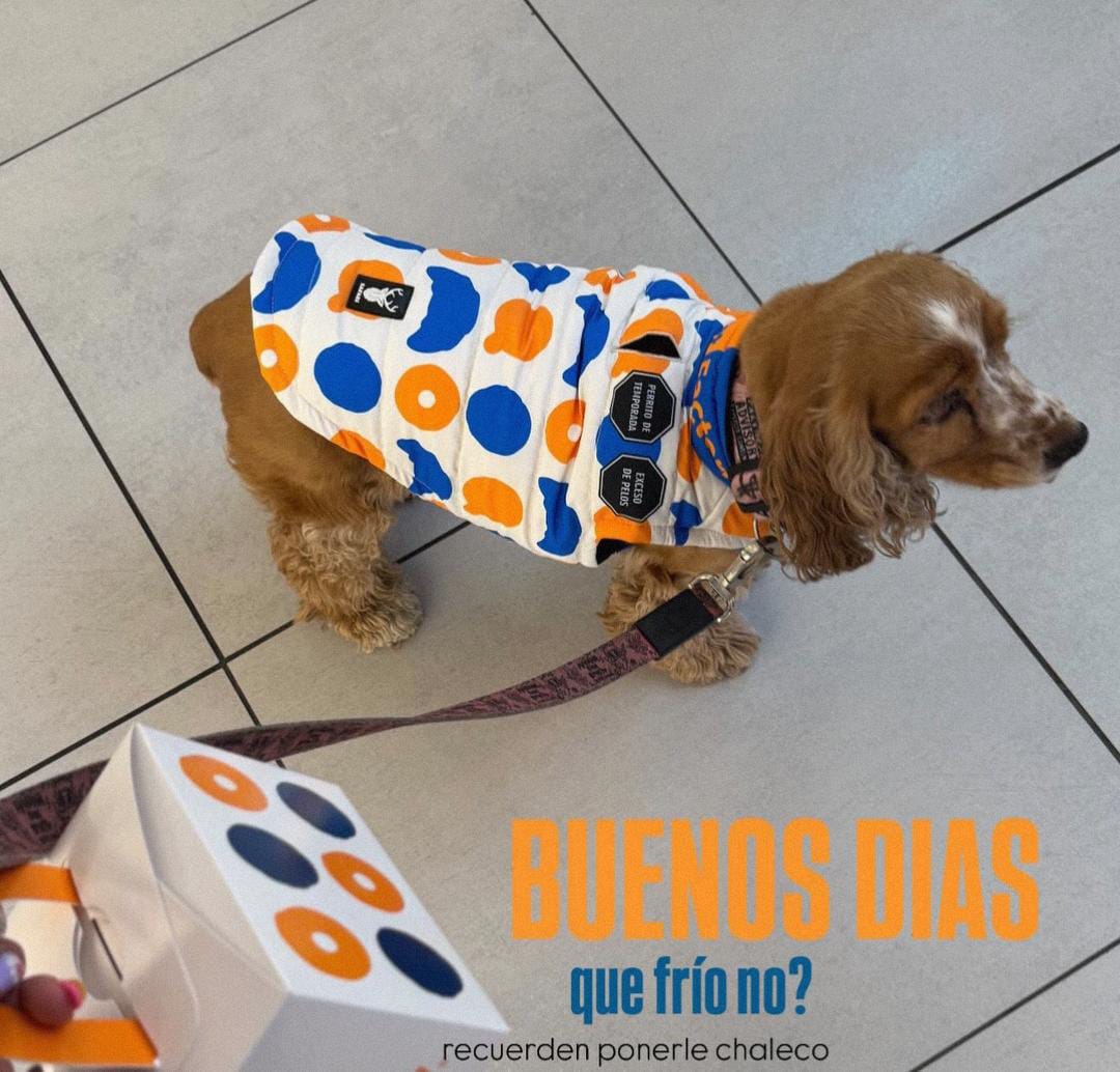 Chaleco Mascota Donut Factory