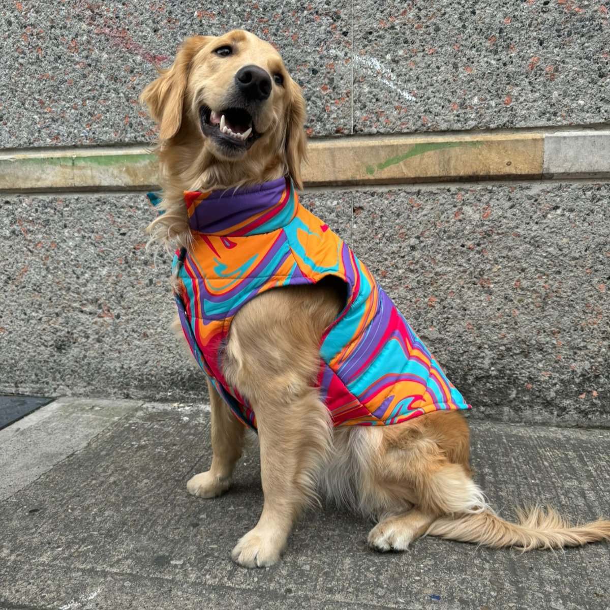 Chaleco Mascota Psychedelic Tropical